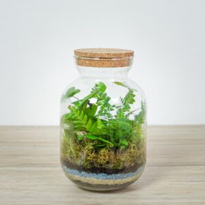 las-w-sloiku