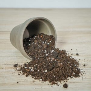 podloze-mieszanka-do-fikusa-9l-zestaw-diy