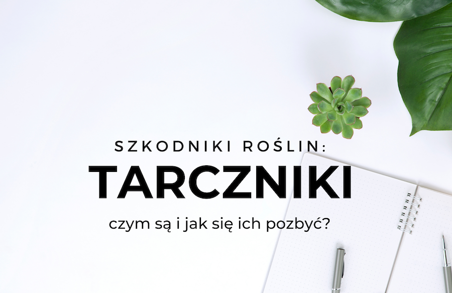 Jak zwalczyć tarczniki