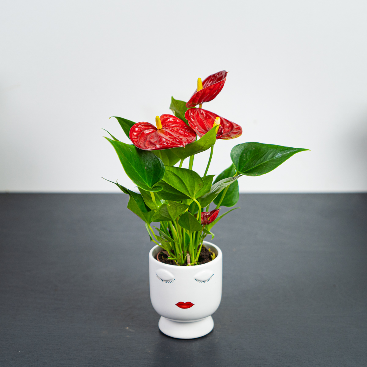 Anthurium