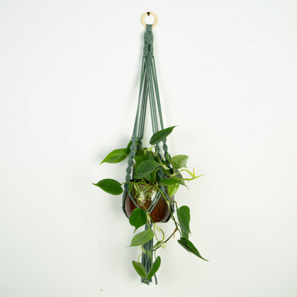 makrama-dalia makrama-dalia