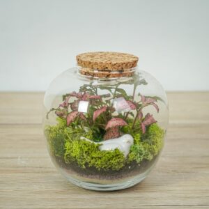 las-w-sloiku