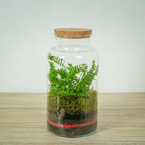 las-w-sloiku las-w-sloiku
