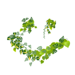 Zdjęcie placeholder
