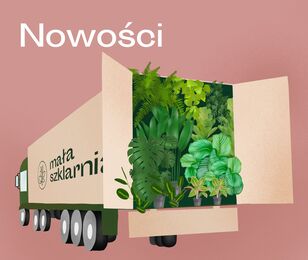 Nowości
