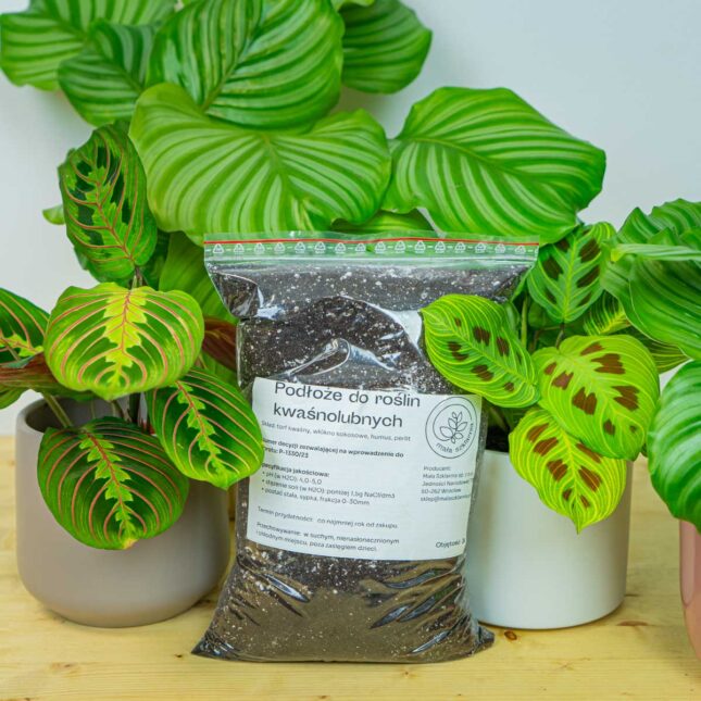 Podłoże do roślin kwaśnolubnych 3L – mieszanka do marantowatych (calathea, maranta, stromanthe, ctenanthe) Podłoże do roślin kwaśnolubnych 3L – mieszanka do marantowatych (calathea, maranta, stromanthe, ctenanthe)