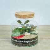 las-w-sloiku-czerwona-wydma