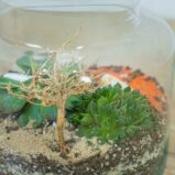 las-w-sloiku-pustynia
