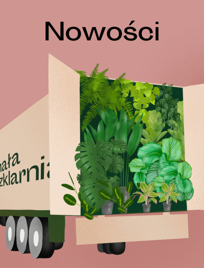 Nowości