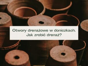 Otwory drenażowe w doniczkach