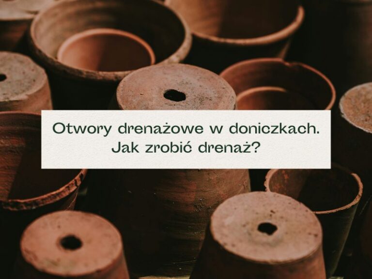 Otwory drenażowe w doniczkach
