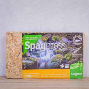 mech-torfowiec-sphagnum-do-ukorzeniania