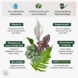 Dla_lubiacych_podlewac_min