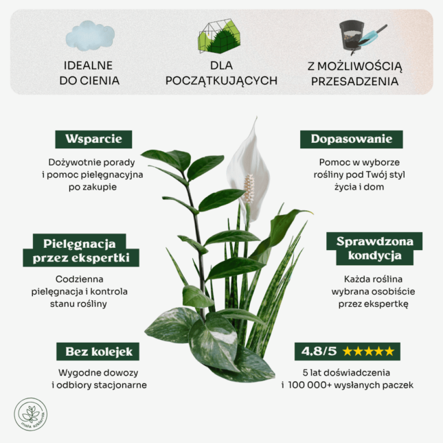 Do_cienia_min Do_cienia_min