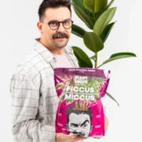 ficcus-1-600x900
