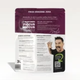 ficcus-back-500x500