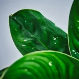 MS191k_0020_MS19 20